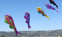 fishkites800