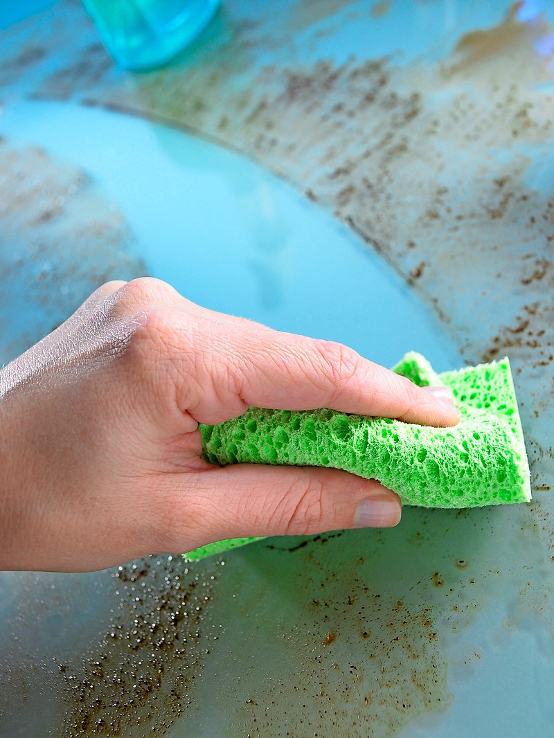 Where are germs hiding in your kitchen? Study finds surprising results -  CBS News