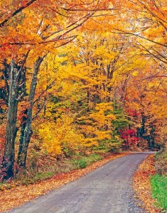 Autumn country road, Vermont