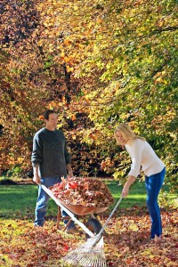 Couple doing yard work in autumn