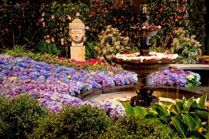 Photo courtesy Chicago Flower & Garden Show