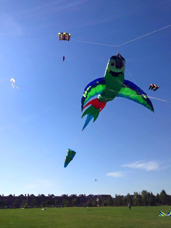  Naperville Park District Frontier Kite Festival