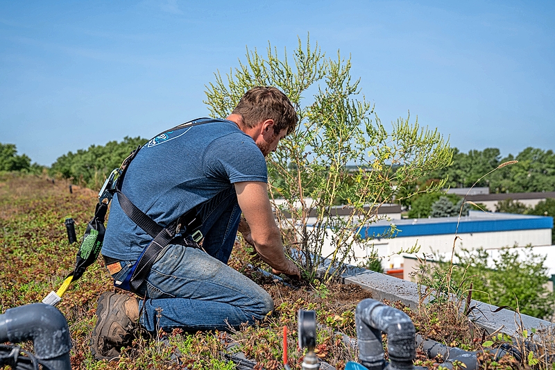 A worker planting on a rooftop
