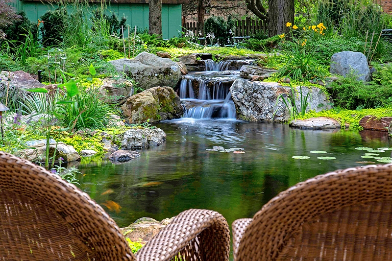 A backyard pond with a waterfall
