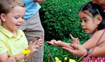 About 150 people attended the SHARE Wings of Hope Angel Garden Blessing & Butterfly Release on June 20 at Edward Hospital in Naperville. Now in its 34th year, the event supports those who have experienced a miscarriage, ectopic pregnancy, stillbirth, or neonatal death.