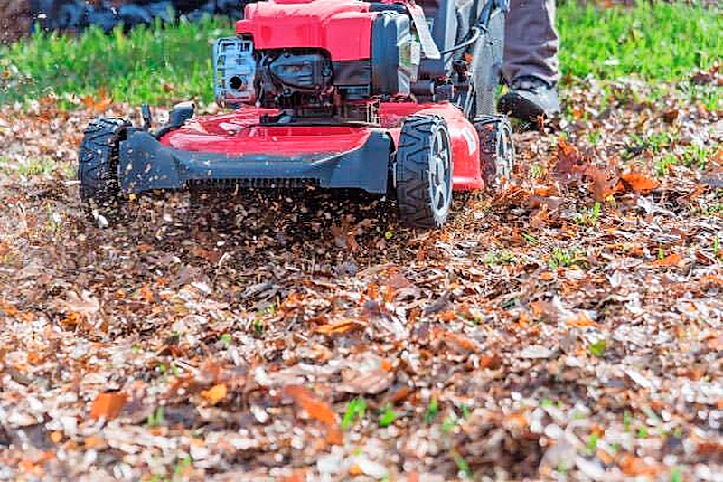 Mulching leaves with a lawnmower