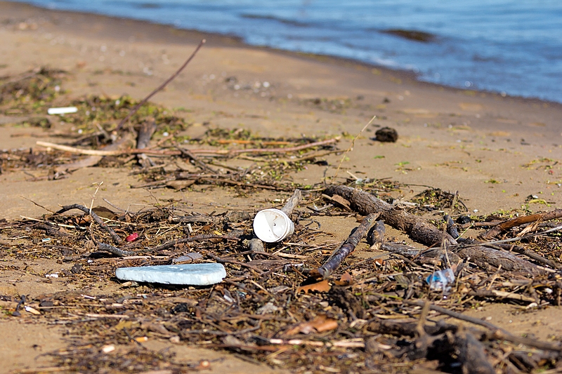 Miscellaneous trash on the shore of Lake Michigan