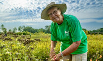 The DuPage Forest Preserve District offers many hands-on volunteer opportunities.