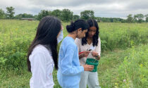 During the Physical & Life Sciences program, students gathered seeds on the prairie during Fermilab’s summer camp.