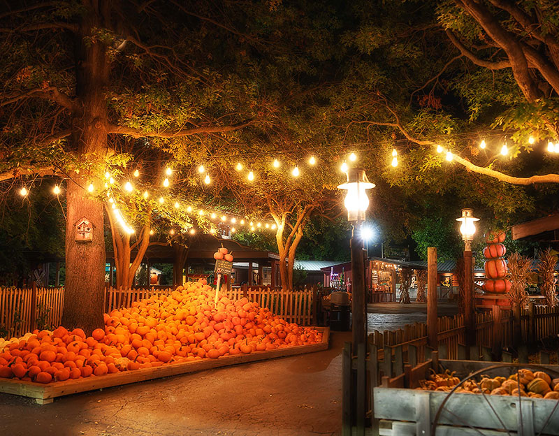 Bengtson’s Pumpkin Farm