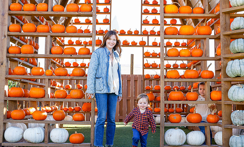 A woman and children perusing shelves of small, ripe pumpkins on display at Goebbert’s Farm