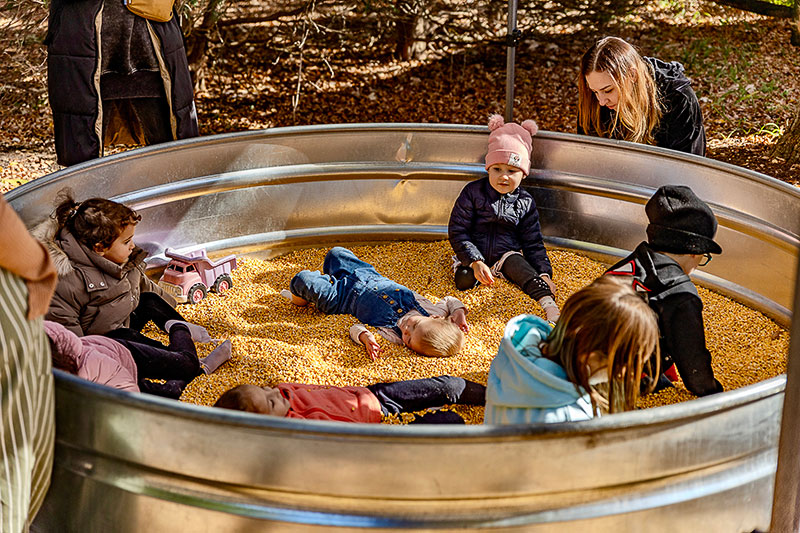 Kids playing in a vat of dried corn at Blackberry Farm