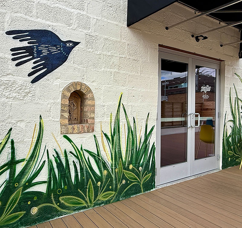 Outside The Backyard