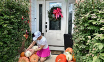 Naperville resident Christine Blankenship preps a porch for fall through her business, The Pumpkin Concierge. Postseason, the pumpkins are donated to the Ron Ory Community Garden Plots for compost.