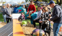 With 350 attendees, the Turning Pointe Autism Foundation’s ninth annual Pumpkin Race Oct. 25 at Rotary Hill in Naperville raised more than $35,000.