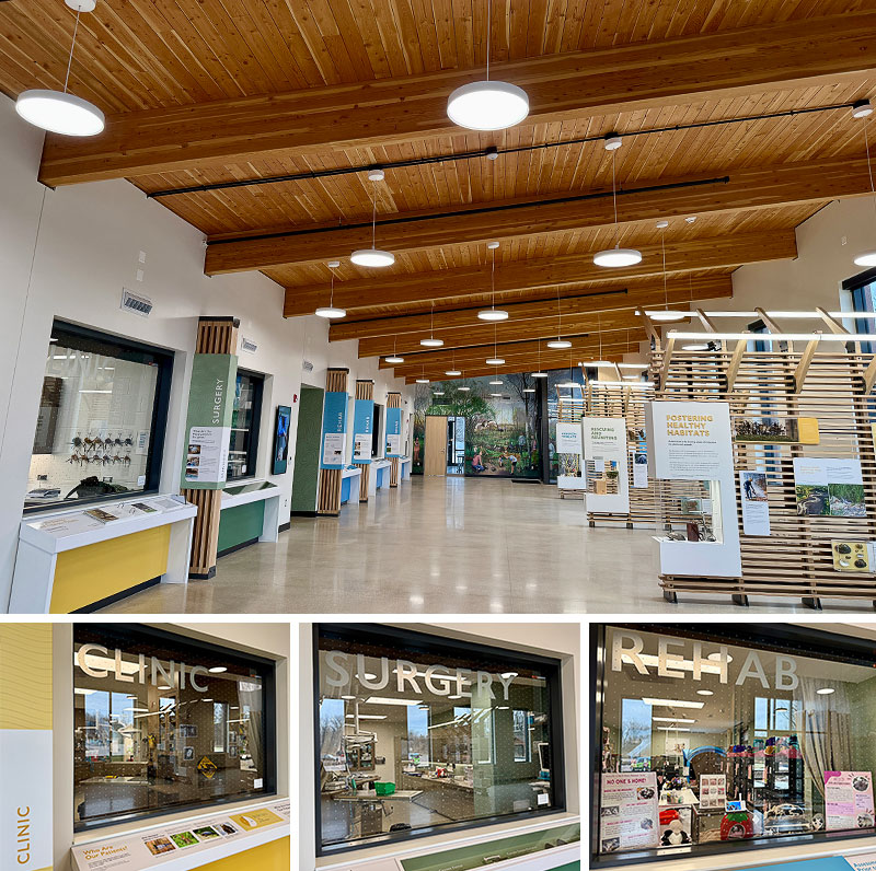 A wide shot of the visitor center, plus close-up photos of the clinic, surgery, and rehab section observation windows