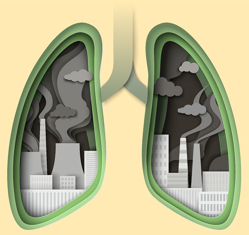 An illustration of a pair of lungs with buildings polluting the air inside of them
