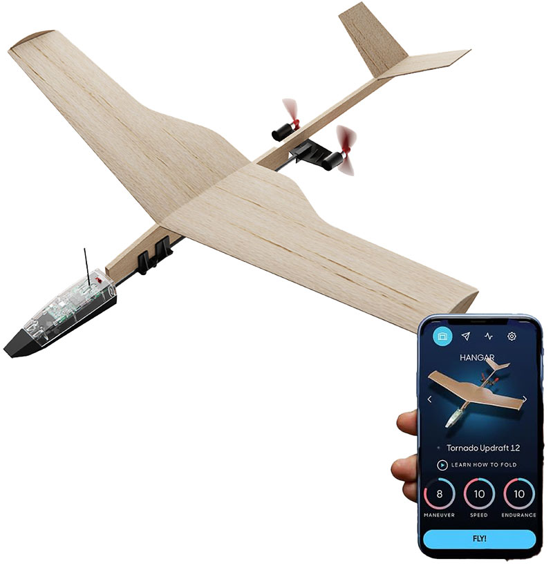 Balsa wood airplane kit